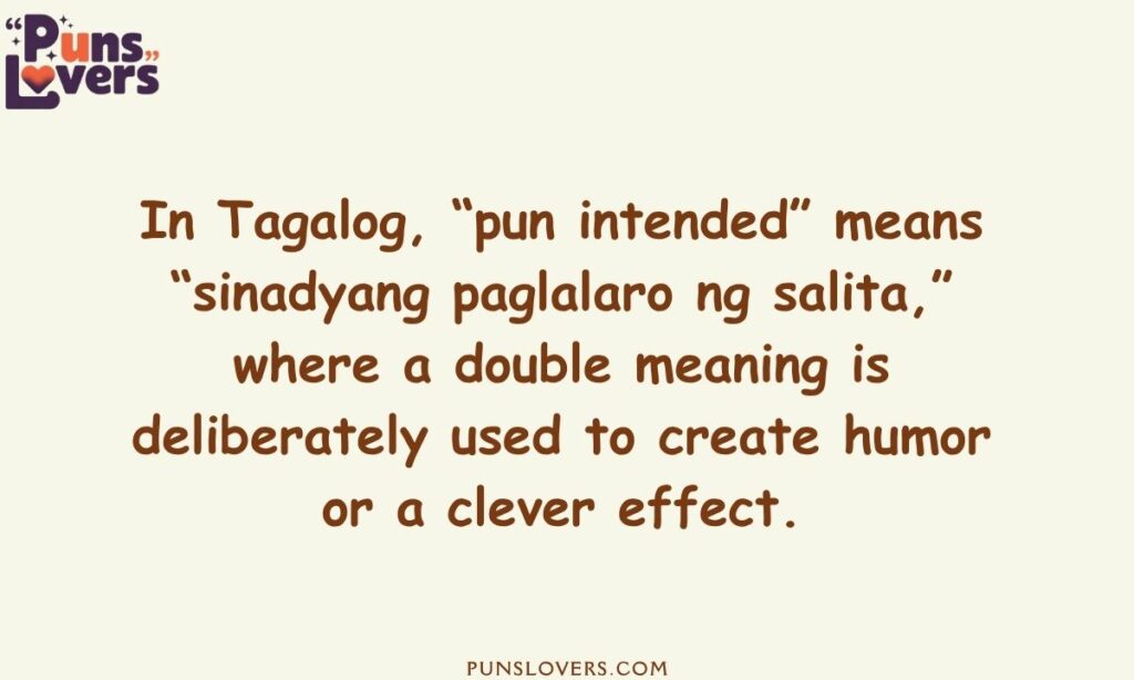 Pun Intended Meaning Explained in Tagalog