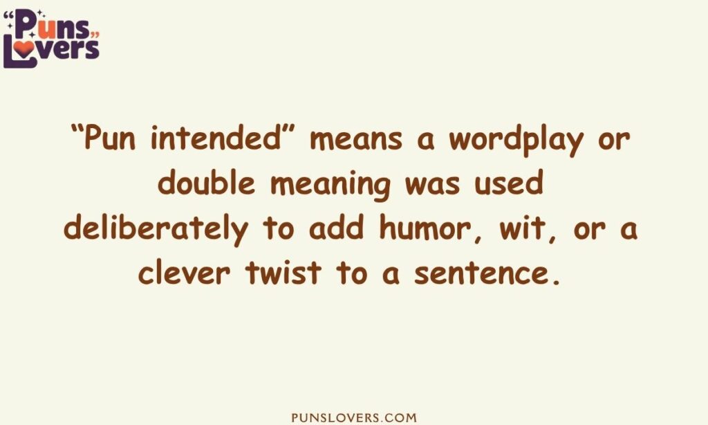 What Does Pun Intended Meaning Explained Clearly
