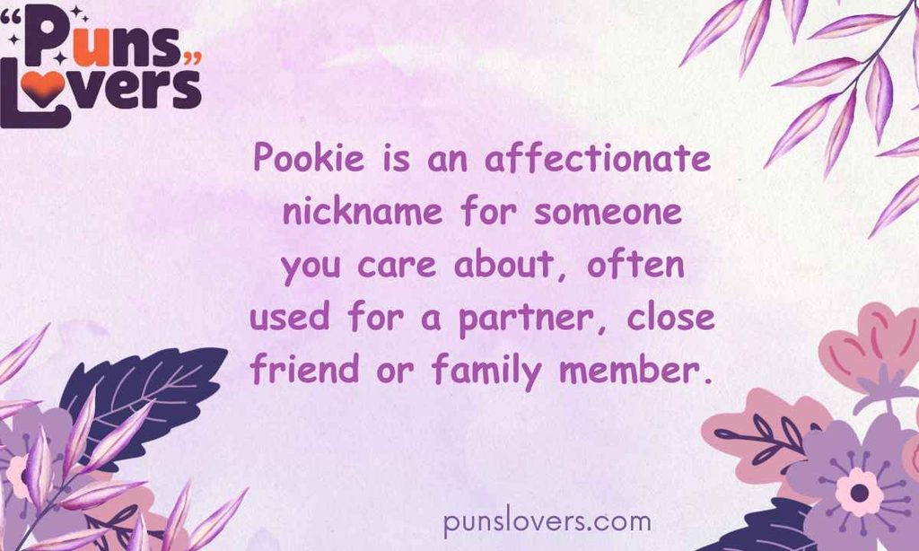 Meaning of Pookie Quick Definition
