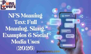 NFS Meaning Text