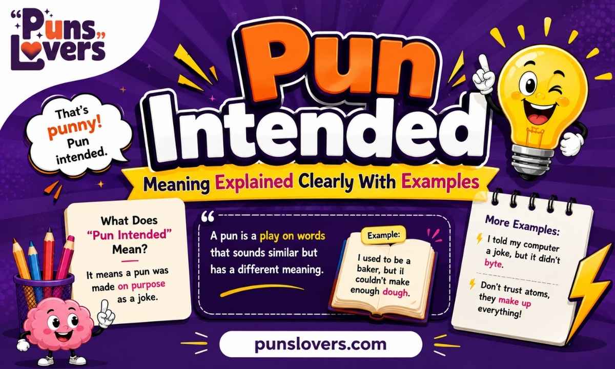 Pun Intended Meaning Explained Clearly